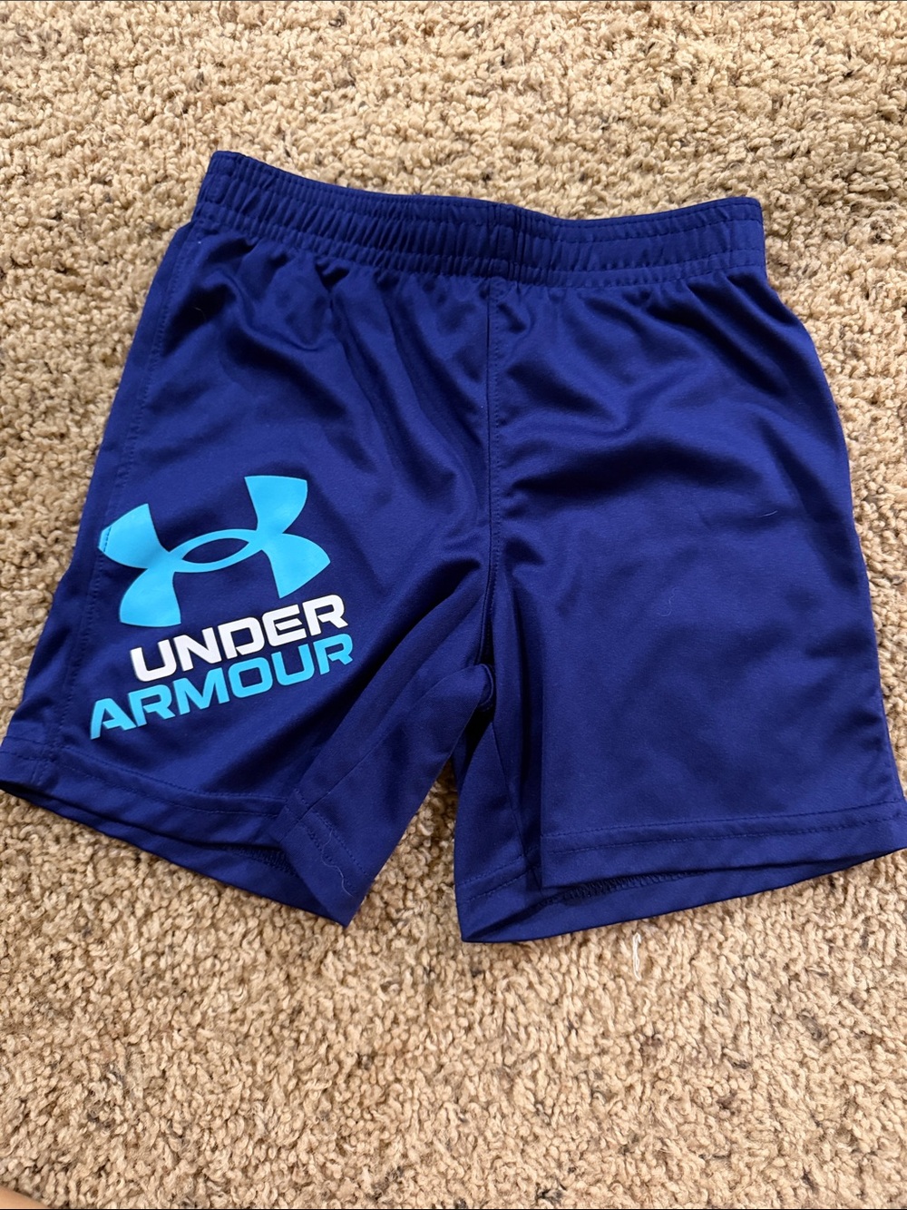 Under Armour Men's Royal Blue Athletic Shorts with Teal Logo